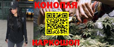 прущие грибы Апшеронск